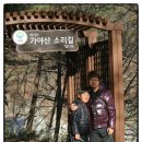 소리길오토캠핑장 이미지