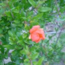 충만농장 이미지