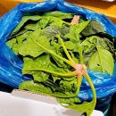 산촌농장(2) 이미지