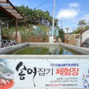 대관령솔내음오토캠핑장 이미지