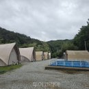 숲속앤정원 이미지