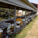 소망농장 이미지