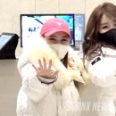 우정미트 이미지