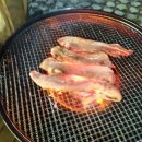 추억 만들기 캠핑장 | 🌲솔향강릉오토캠핑장 아이와 함께한 따뜻한 카라반캠핑 후기⛺