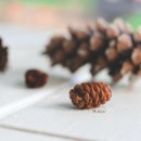 도울 행정사사무소 이미지