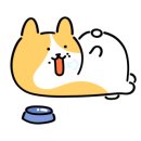 할매족발 이미지
