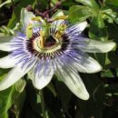 한양대학교 의학전문대학원 이미지