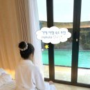 마이꾸따 이미지