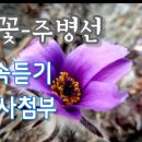 ﻿주병선-들꽃 (연속듣기)가사첨부 이미지