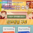 리더스동물병원 이미지