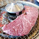 모텔알(R) 이미지