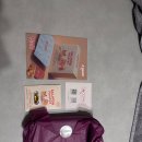 애완강아지 | 스푼풀 애완동물 오메가3 후기｜강아지 고양이 4마리 직접 급여해봤어요