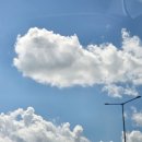 버들맨션 | 대구 근교 가볼만한 곳/대구 근교 감성 숙소 추천/성주 버들맨션 숙박 후기/대구 근교 아이 동반 숙소 추천