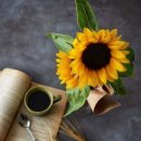 청량리28 이미지