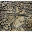 용남해안길 이미지