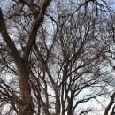 월전포경로당 이미지