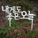 모란역 11번 출구 이미지