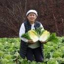 참맛농부 이미지