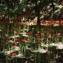 모악보건진료소 이미지