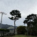 멍멍아 여기어때 이미지