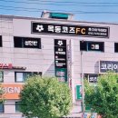 한국유아체육지도자협회 이미지