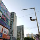 1978참숯치킨앤등갈비 | 달성 명곡종합시장 맛집/ 육즙 가득 맛있는 등갈비 배달로 편하게 먹기 '1978참숯치킨&amp;등갈비'