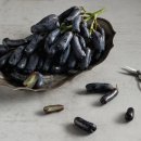 사파이어 이미지