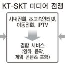 하나로텔레콤 이미지