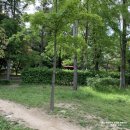 대공원충전소 이미지