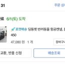 반려켄넬 이미지