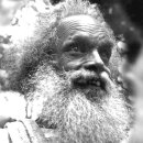 푸리바바 이미지