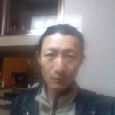 신영어
