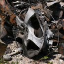 대현자원 이미지