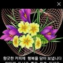 김*부 이미지