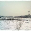 와촌 농장 이미지