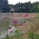 산장농원 이미지