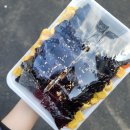선비꼬마김밥세명기독 | 임춘복딸기케이크, 카카오톡선물, 햇살머믄꼬마김밥, 세명기독병원퇴원, 화이트네일, 포항황장군, 3...