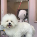 프롬 유니 이미지