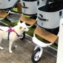 (주) 트렌드펫 이미지