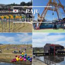 언덕어린이공원 | 파주 임진각 평화랜드 카페 다녀온 후기 피크닉 놀이공원 정보