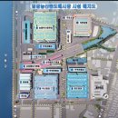 알뜰청과 | 부산에서 야채, 과일 싸게 사고 싶다면? 엄궁농산물시장 방문(부산청과)