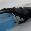 만수향 - 서구 관저북로 18 | 만수향