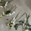 데이지플라워 | 소르아웨딩 플라워디렉팅 베이직타입 _ 테이크데이지 촬영후기