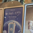 별빛백도 | 부산 서면 밀크티 신상 맛집 차백도 후기 (메뉴, 가격, 대기시간)