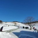 백배목장 이미지