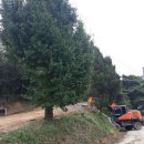 믿음환경건설 이미지