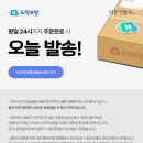 바른주방 | 바른생활수 주방 핸디형 필터전용 필터 세트 선택 전 꼭 봐야할 후기 모음
