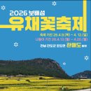 유채 - 전주시 완산구 태평3길 70 | 유채