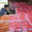 파동마트