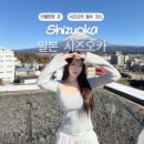 야참치 | [일본] 시즈오카 후지노미야 여행코스, 시미즈항 어시장 참치회 후기, 와사비 타마루야, 돈키호테 쇼핑